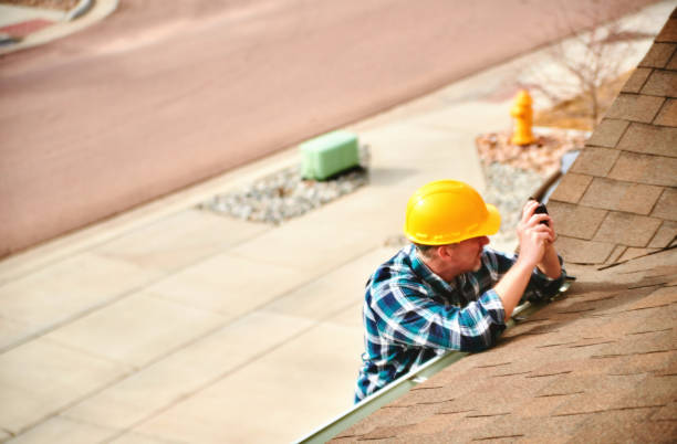 Best Roof Gutter Cleaning  in Grantville, GA